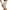 Beige-Light, variant on Joyshaper Shapewear Slip Shorts for Women High Waist Tummy Control Body Shaper Butt Lift Panties Fajas Postpartum(Black-3X)