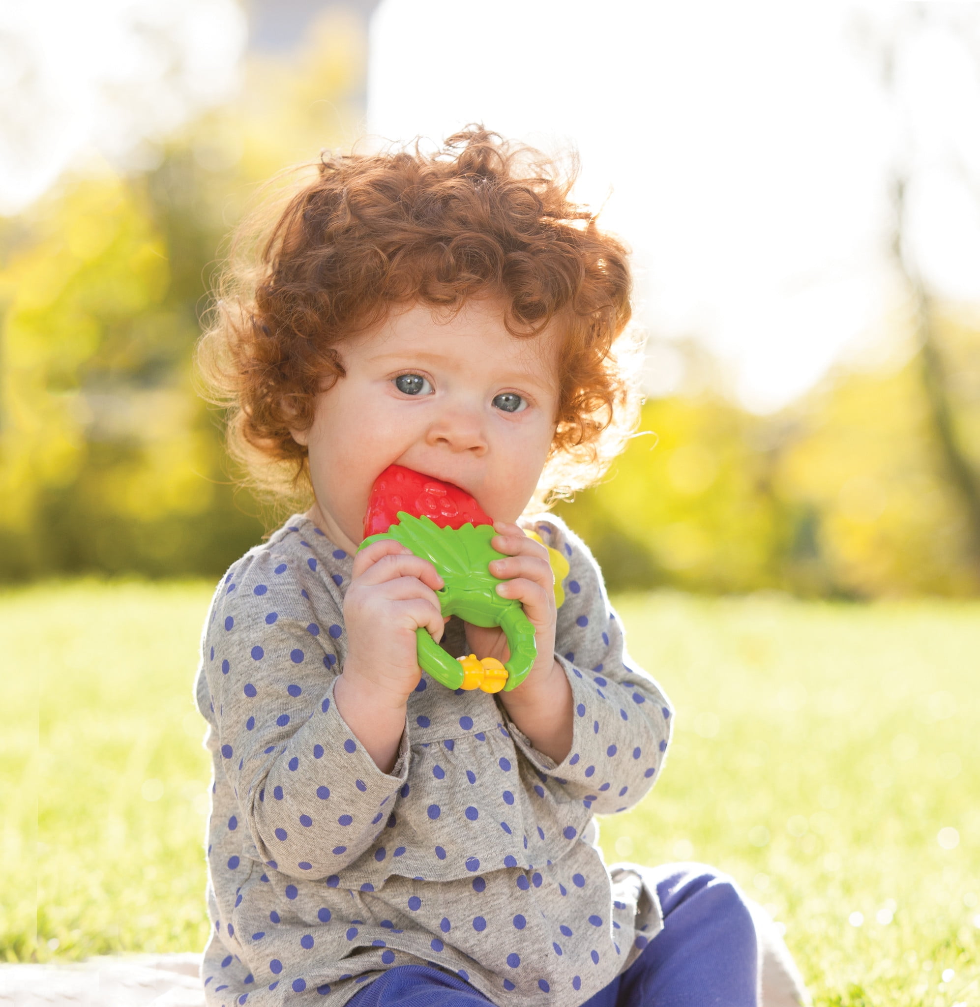 infantino strawberry teether