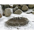 thumbnail image 2 of Farm Innovators Model FS-1 Four Seasons Heated Birdbath, 70-Watt, 2 of 4