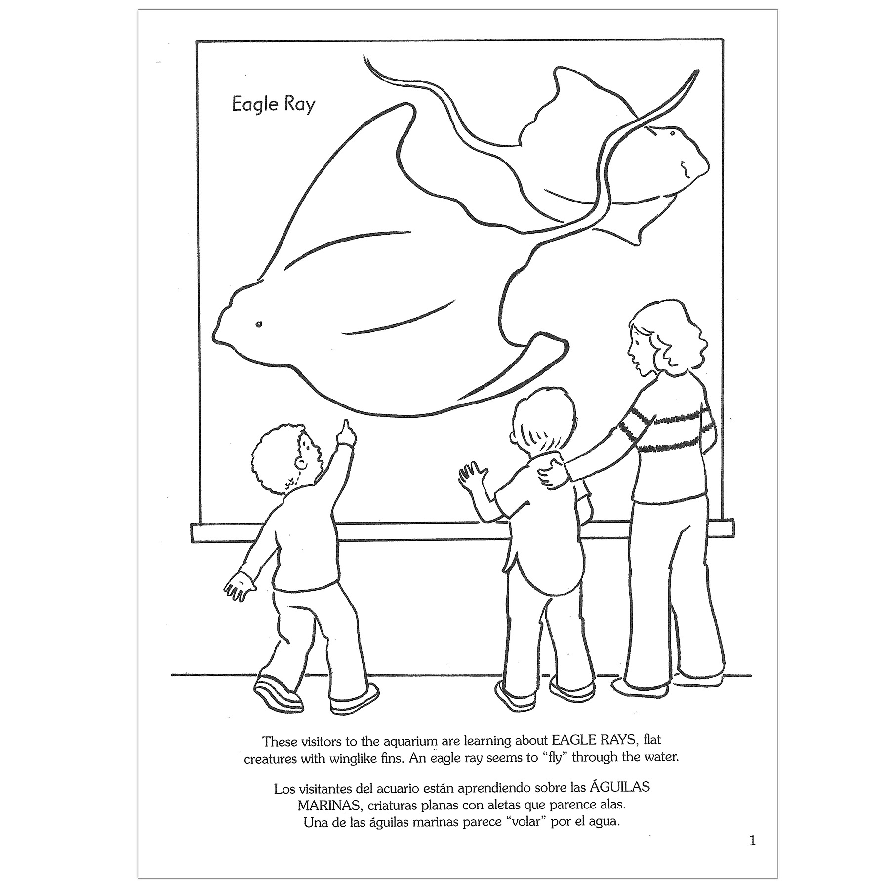 Dover Coloring Book At The Aquarium Coloring Book, Pack of 6