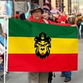 thumbnail image 3 of Bayyon Lion Head Flag Banner with Grommets 3x5Feet Man cave Decor, 3 of 6