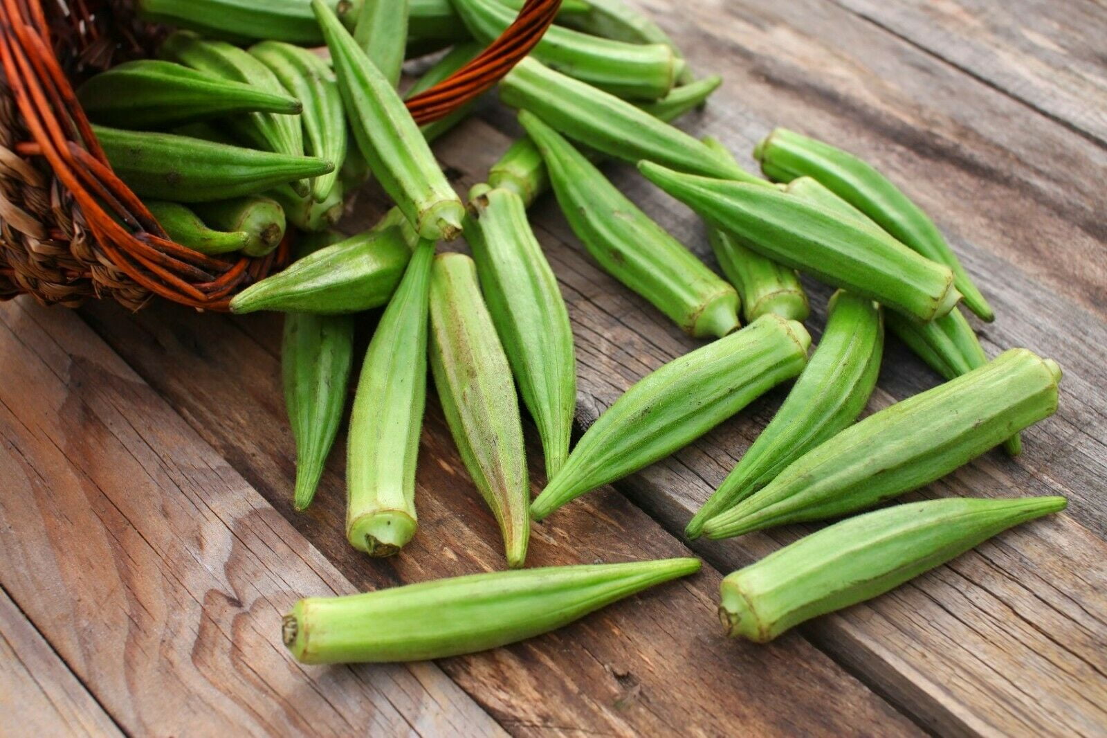 100+ Okra Seeds NonGMO Fresh Garden Seeds Variety from USA