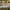 White, variant on TOPReddon Garden Fence, Insert White Plastic Fence Garden Picket Fence Edgings Lawn Flowerbeds Plant Borders Decorative Garden Yard