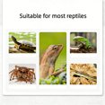thumbnail image 7 of Reptile Heat Lamp, Heat Lamp with Clamp, UVA UVB Reptile Light with Intelligent Cycle Timer for Turtle, Bearded Dragon, Lizard Heat Preservation And Calcium Supplementation(50w/75w), 7 of 7