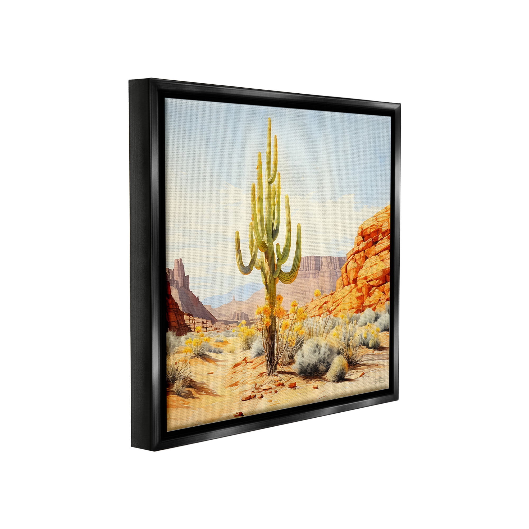 Stupell Industries Desert Canyon Mesa Landscape Painting Black Floater Framed Canvas Art Print Wall Art, 25 x 25