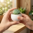 thumbnail image 5 of Unique Bargains Artificial Succulents Pots Faux Plants 3.14" Spiky Tower Dark Green, 5 of 5