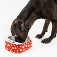 thumbnail image 2 of Petkit FRESH Smart Digital Feeding Pet Bowl for Pets, White, 2 of 2