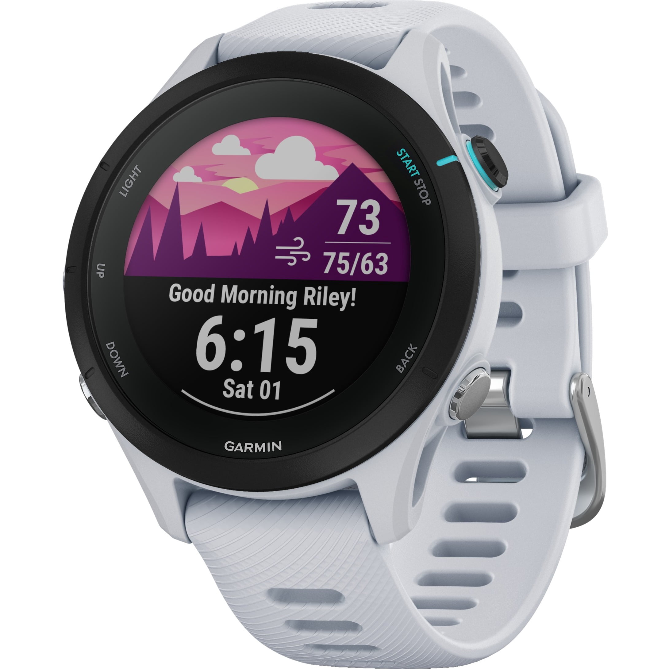 Garmin Forerunner 645 Music - Walmart.com