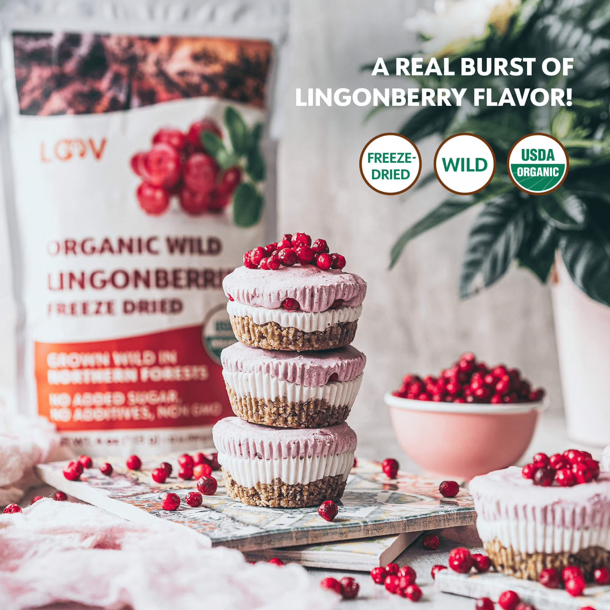 LOOV Freeze Dried Organic Wild Lingonberries, 23-Day Supply, No Sugar Added, Tart Berry Flavor