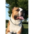 thumbnail image 5 of Heavy Duty Cuban Chain Dog Collar for Large Dogs - 20mm XL Extra Wide,Silver, 5 of 7