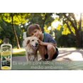 thumbnail image 3 of Sol-U-Mel 3-in-1 Cleaner Lemon 8oz, 3 of 5