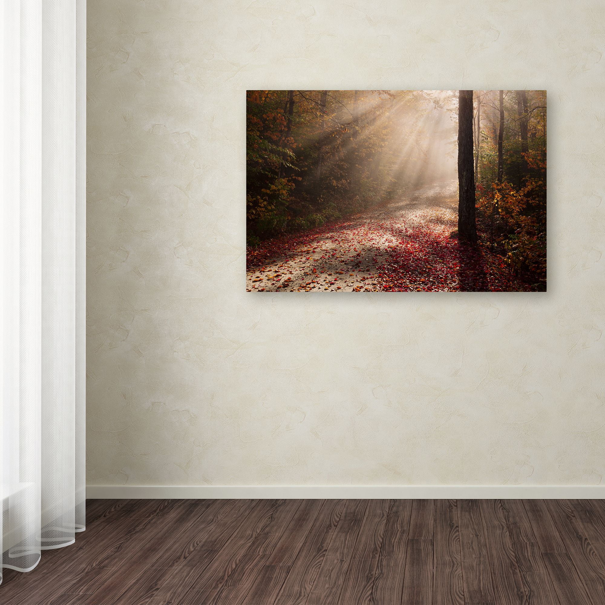 Trademark Fine Art 'Light in the Forest' Canvas Art by Michael Blanchette Photography