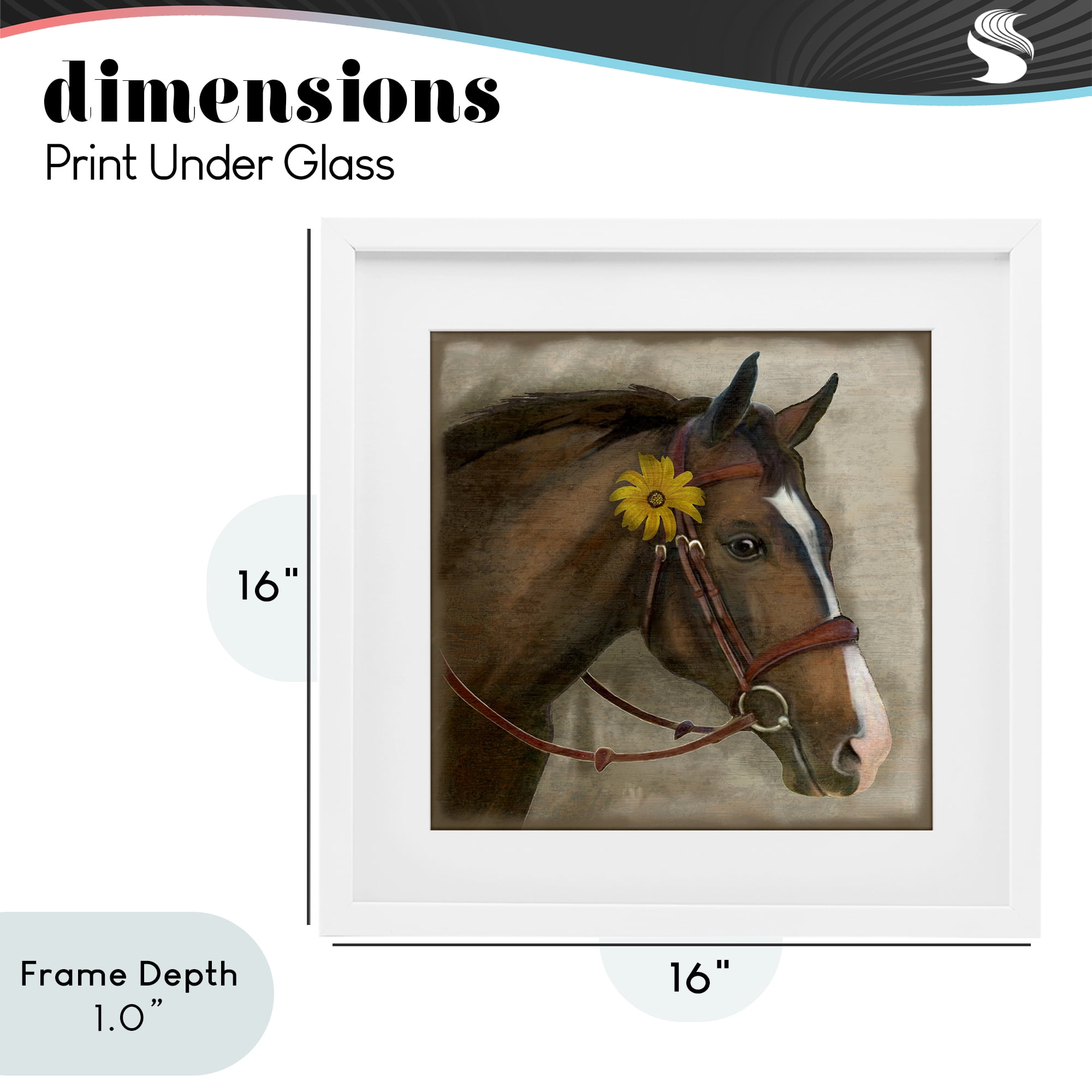 Stupell Industries Barnyard Horse with Daisy White Framed Print Under Glass, design by Suzanne Nicoll