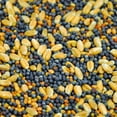 PlotSpike 58120 Quick Stand NoTill Deer Food, Includes Clover, Fast