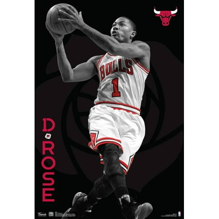 - Derrick Rose Chicago Bulls Nba Sports Poster - 13x19