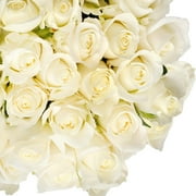 White Roses 50 cm Fresh Cut Flowers 50 Stems by Bloomingmore