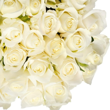 Natural Fresh Flowers - White Roses, 20", 50 Stems