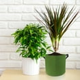thumbnail image 2 of Kearding Bolsas de cultivo de jardín Flor Vegetal Aireación Plantación Maceta Contenedor Bolsa con asas 1/2/3/5/7 galones Type8 NO8 Kearding HA004268-05, 2 of 6
