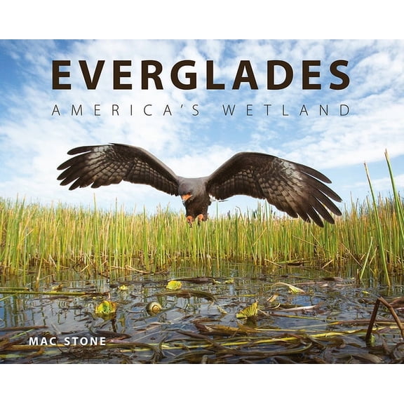 Everglades: America's Wetland, (Hardcover)