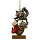 thumbnail image 3 of Ornamento Acrílico Raccoón Pendeente 2D, Acuario Christmas Ornament, Pared Christmas Décor, Colgante Navideño Acrílico, Para Salón, 8x6cm, Acrílico Transparente, Para Exterior, Colgante de Navidad,, 3 of 7