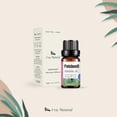 thumbnail image 2 of Aceites Esenciales Pachuli Natural UVa Natural 10 ML Aromaterapia Conjunto de Difusores y Humidifica, 2 of 6
