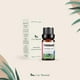 thumbnail image 2 of Aceites Esenciales Pachuli Natural UVa Natural 10 ML Aromaterapia Conjunto de Difusores y Humidifica, 2 of 6