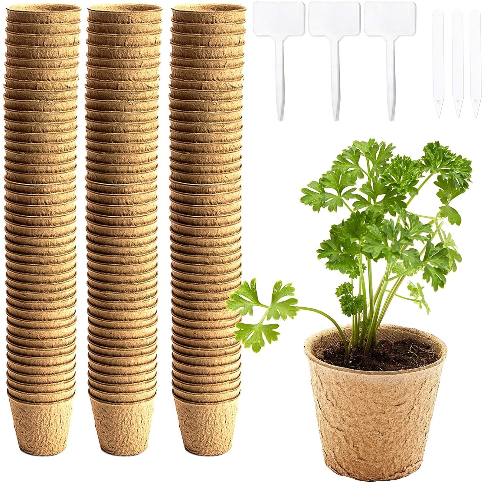 Aohcae Seed Starter Trays 2pcs Seedlings Dibbers and 50pcs Plant Labels for Home Garden Greenhouse 12pcs 10 Cells Biodegradable Pots Seed Starter Trays 