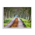 thumbnail image 3 of Stupell Industries Aligned Trees Along Orchard Path Nature Tunnel Photograph White Framed Art Print Wall Art, Design by James Dobson, 3 of 5