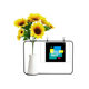 thumbnail image 1 of Nada es cierto todo permitido Tarjeta de bendición de jarrón de girasol artificial, 1 of 3