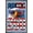 Bronze Framed Version, variant on America 250 - Eagle with Glasses Wall Poster, 22.375" x 34"