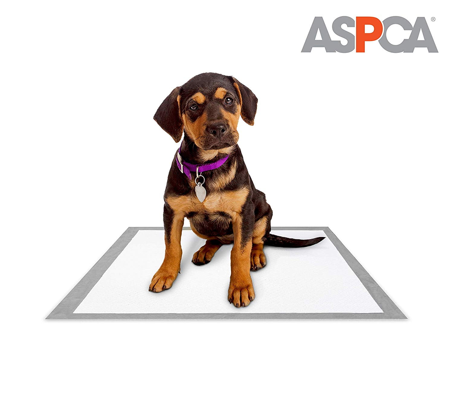 Aspca training clearance pads