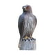 thumbnail image 2 of Estatua de águila Macarena Simulación Jardín Decoración Hogar Sala Oficina Dormitorio Cocina, 2 of 8