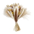 thumbnail image 2 of Ramo de hierba natural, set de decoración de hierba seca, flores decorativas de caña seca Estilo D, 2 of 9