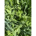 thumbnail image 5 of Cover Crop Seed Blend by Eretz - CHOOSE SIZE! Willamette Valley, Oregon Grown, Non-GMO, No Fillers, No Weed Seeds 5lb, 5 of 8