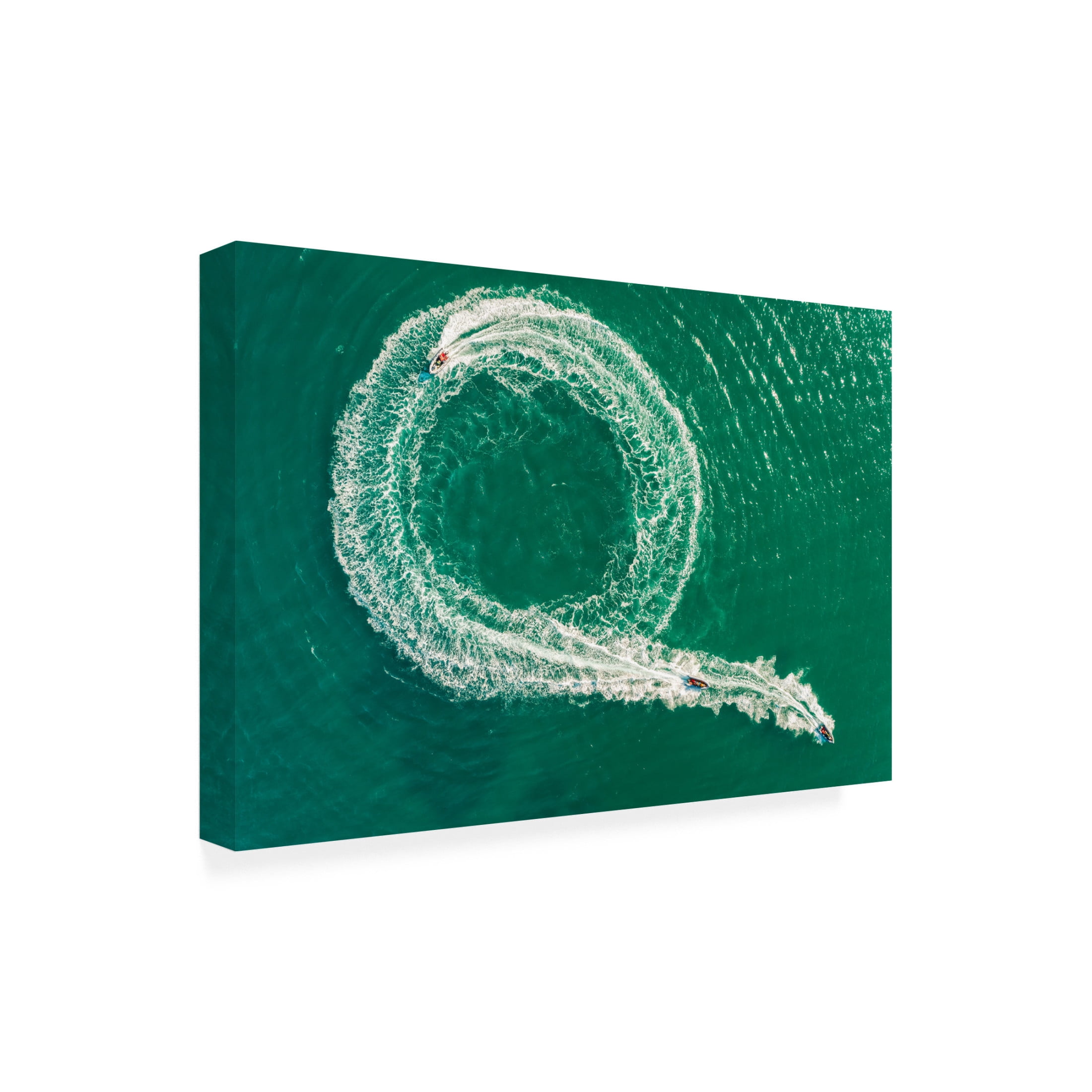 Trademark Fine Art Ido Meirovich Follow The Leader Canvas Wall Art