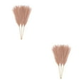 thumbnail image 2 of ZheElen 3pieces Intimate Atmosphere With Artificial Pampas Reed Non-shedding And No Light Coffee 2Set, 2 of 6