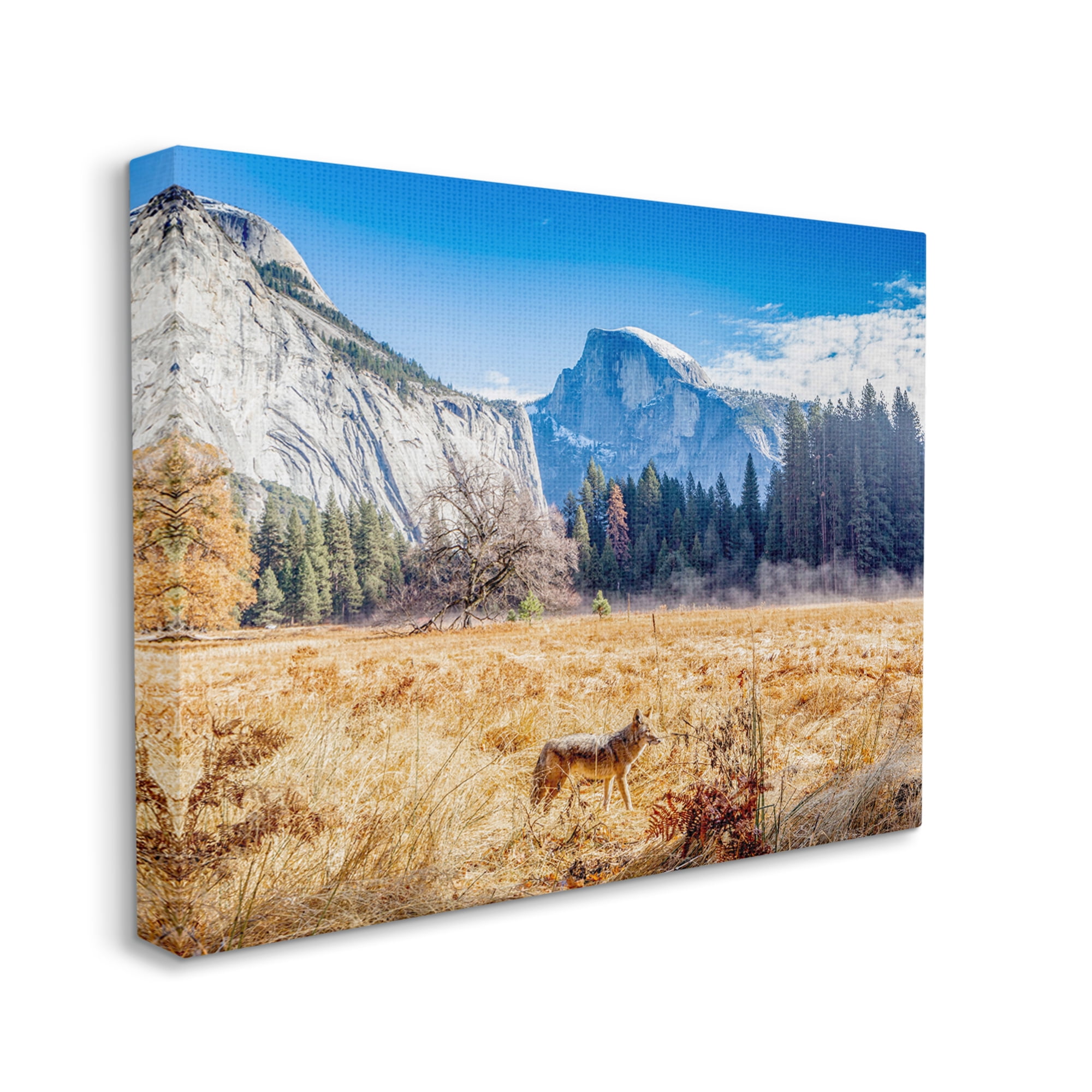 Stupell Industries Wolf Grazing Rural Grassland Clear Sky Mountains Photograph Gallery Wrapped Canvas Print Wall Art, Design by Jeff Poe Photography