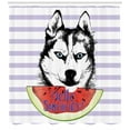 thumbnail image 3 of Ambesonne Alaskan Malamute Shower Curtain, Summer, 69"Wx70"L, Multicolor, 3 of 3