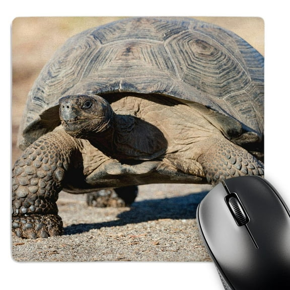 3dRose, Ecuador, Galapagos, Urvina Bay, Galapagos giant tortoise walking., MousePad