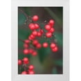 thumbnail image 3 of Erin Berzel 23x32 White Modern Wood Framed Wall Art Titled - Red Berries II, 3 of 5