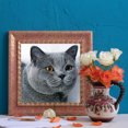 thumbnail image 2 of Cuadros Decorativos 5D diamante pintura gato gris completo redondo taladro Rhinestone DIY pared (sz1758) DQrwqpou Nuevos Originales, 2 of 7