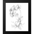 thumbnail image 2 of Harper, Ethan 12x14 Black Modern Framed Museum Art Print Titled - Botanical Sketch V, 2 of 5
