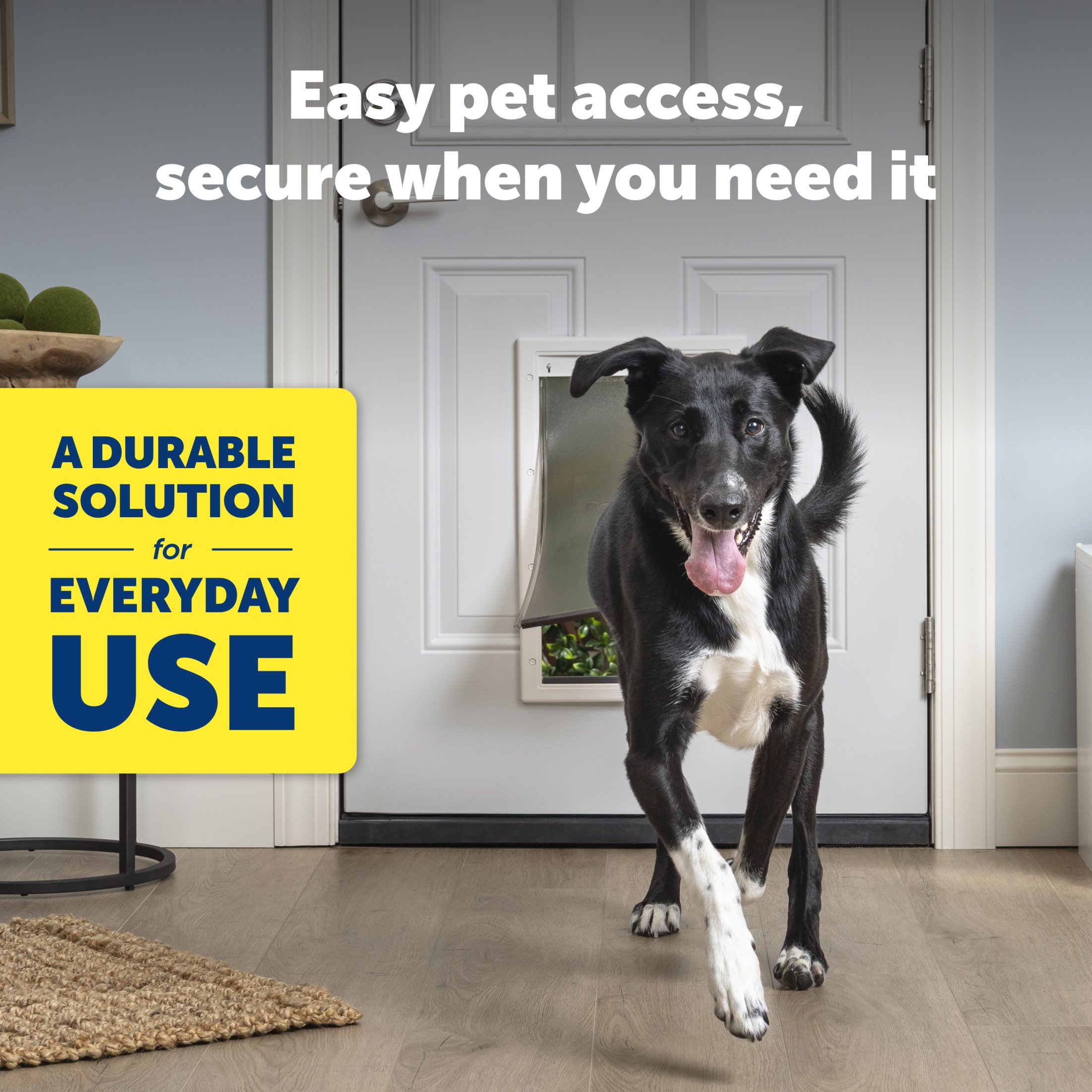 PetSafe Plastic Pet Door, Small, Up to 15 lbs, White photo 2