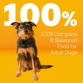 thumbnail image 4 of Pedigree Complete Nutrition Adult Dry Dog Food, Grilled Steak & Vegetable Flavor, 27 lb. Bag, 4 of 11