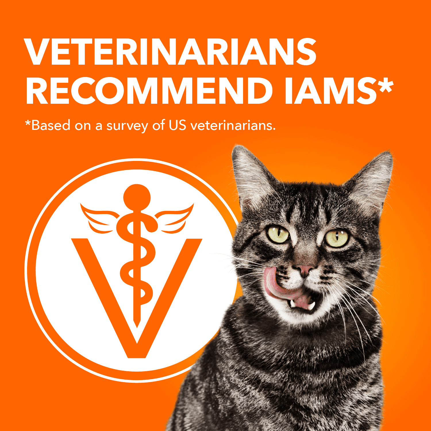 Nourriture sèche pour chats IAMS PROACTIVE HEALTH Chat âgé en santé avec poulet, sac de 3,18 kg