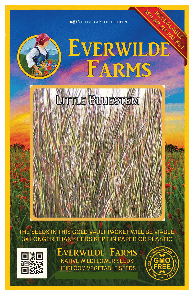 Everwilde Farms 1000 Little Bluestem Native Grass Seeds Gold Vault Jumbo Bulk Seed Packet