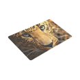 thumbnail image 3 of MKHERT Angry Leopard Funny Animal Doormat Rug Home Decor Floor Mat Bath Mat 30x18 inch, 3 of 3
