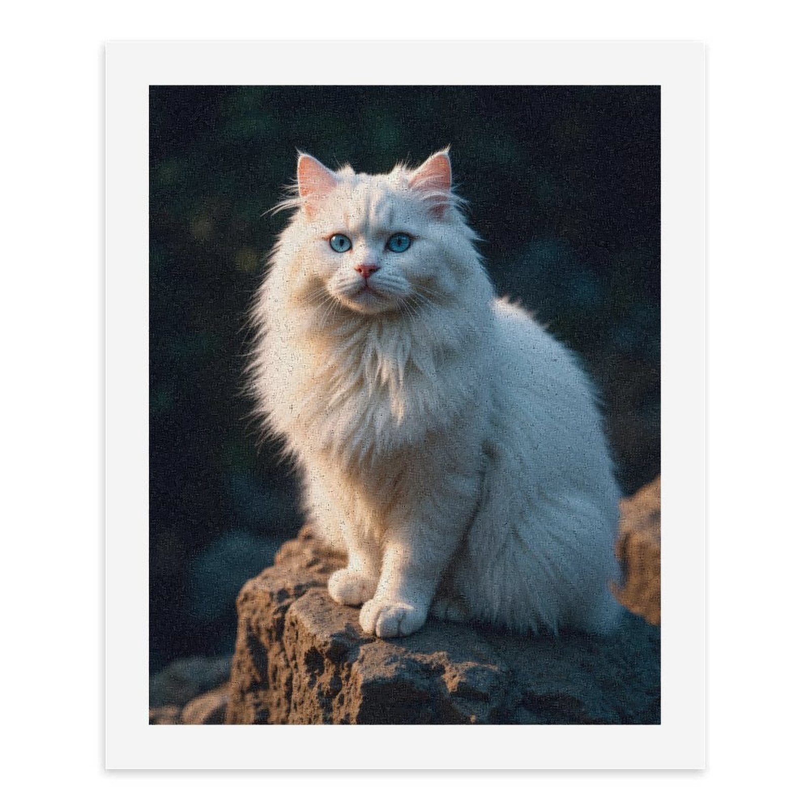 Paint By Numbers Kit for Adults Beginner - White Cat Blue Eyes Sunlit Rock DIY Canvas Painting Kits for Adults, Frameless Paint By Number for Adults for Home Wall Decor 16x20 Inch