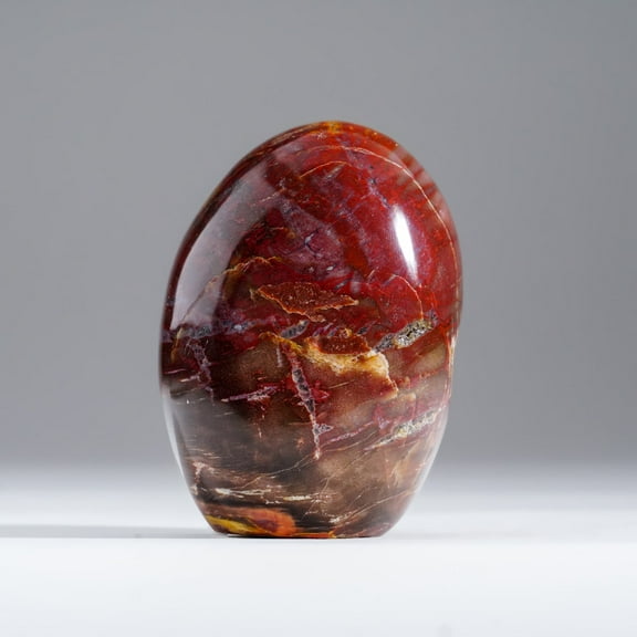 Polished Petrified Wood Freeform from Madagascar (1.1 lbs)