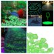 thumbnail image 2 of 300 unidades de guijarros que brillan en la oscuridad, piedras decorativas luminosas, rocas, guijarros luminosos para decoración exterior, jardín, patio, acuario, pasarela, pecera, 2 of 8